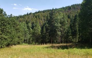 Land for sale Conifer, CO