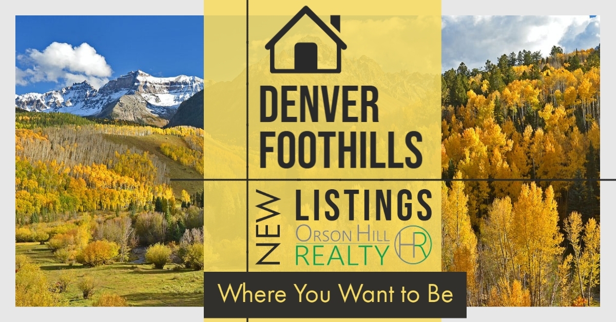 Denver Foothills New Listings