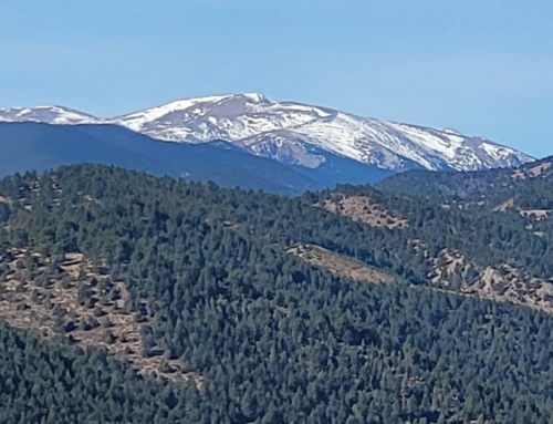 Golden Colorado – A Great Denver Mountain Town for Everyone to Enjoy