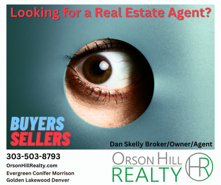 Real Estate Agent Denver Foothills