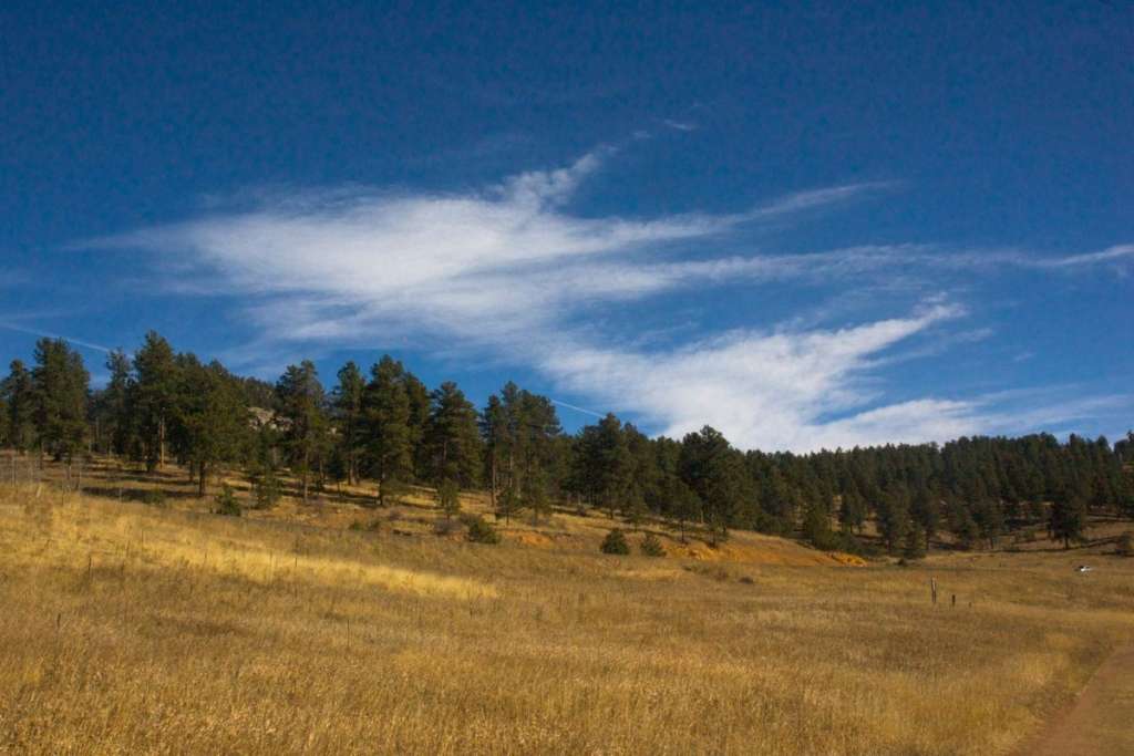 Conifer Colorado