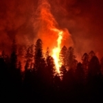 Fire Mitigation