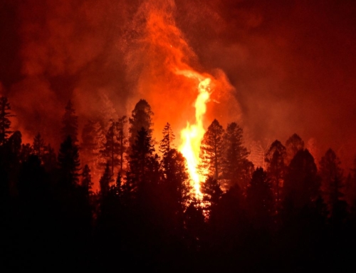 Fire Mitigation: Protecting Homes in Mountainous Areas in Colorado