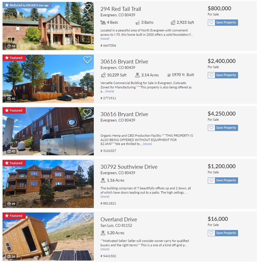 Homes For Sale Dan Skelly