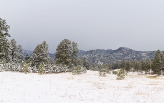Evergreen Colorado winter
