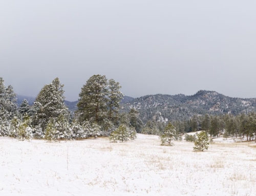 Evergreen Colorado In the Winter – Fun Things for Everyone