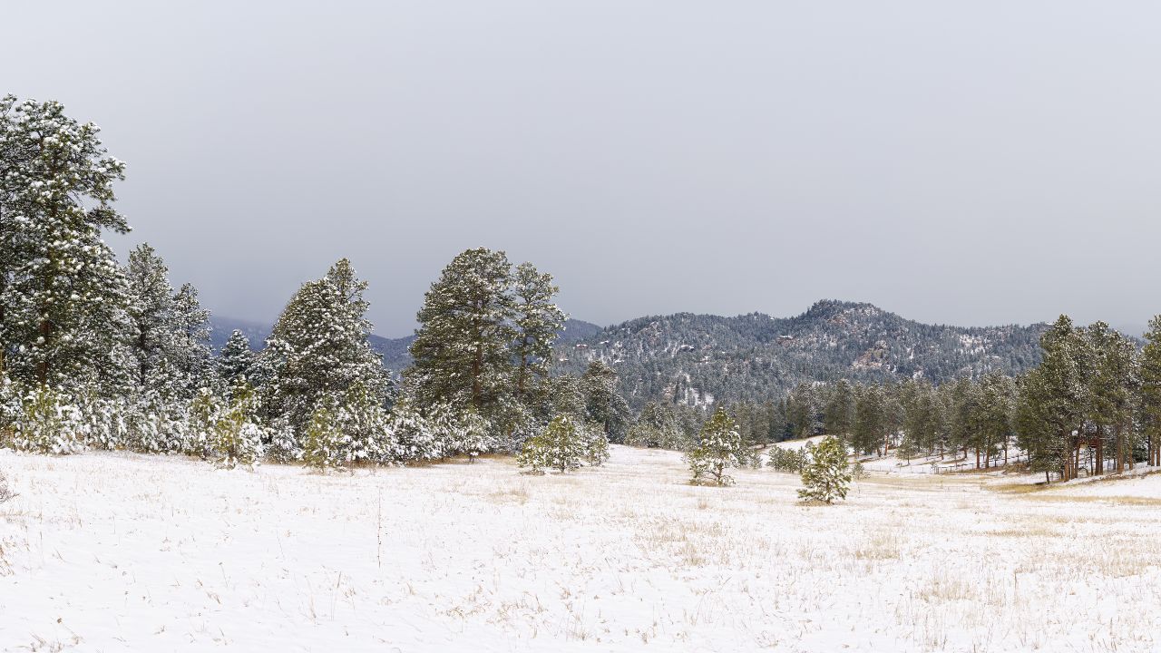 Evergreen Colorado winter
